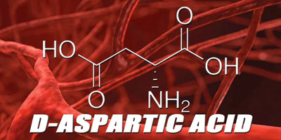 D-Aspartic Acid: The Ingredient Every Man Must Know About