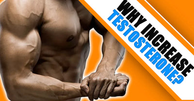 Why Do You Need To Increase Your Testosterone?